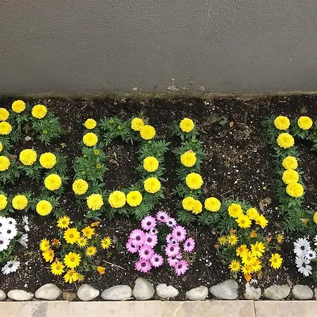 Gold Apartment Kavala